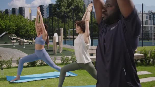 Images Latérales Groupe Diverses Personnes Pratiquant Yoga Extérieur Dans Parc — Video