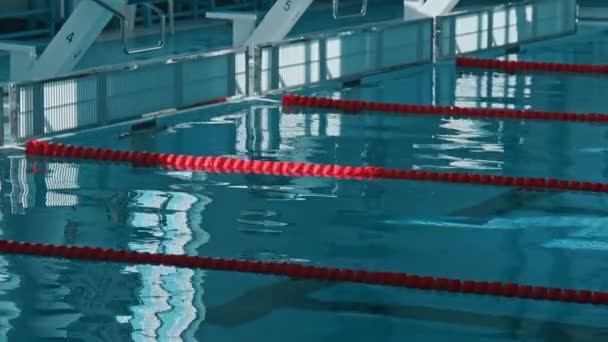 Orta Ölçekli Hiç Kimse Kırmızı Şeritli Yüzme Havuzundan Derin Uçlarda — Stok video