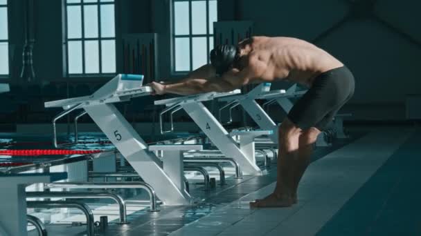 プールの端で一人で立っている運動選手の若い男性スイマーのフルショット ダイビングブロックに保持し ボディコアの筋肉を伸ばしながら ワークアウトのために温まる — ストック動画