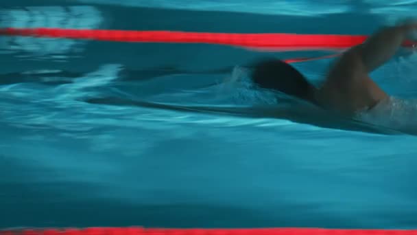 Siyah Şortlu Kauçuk Şapkalı Serbest Yüzen Havuzda Yüzen Yarış Müsabaka — Stok video