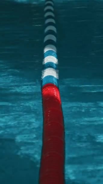 Dikey Olarak Hiç Kimse Kapalı Yüzme Havuzunda Parlak Turkuaz Yüzen — Stok video
