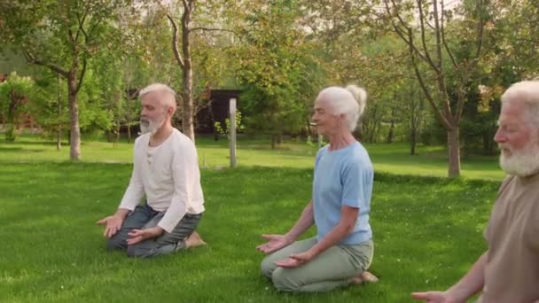 Kompletní Panenka Dvěma Staršími Bělochy Muži Ženou Sedící Společně Zelené — Stock video