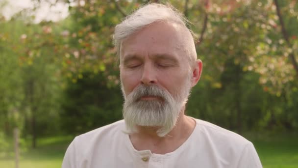 Detailní Záběry Postarší Běloch Šedivými Vlasy Vousy Sedící Zeleném Parku — Stock video