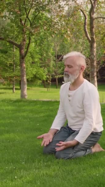 Teljes Függőleges Zoom Out Felvétel Idősebb Kaukázusi Férfi Zöld Parkban — Stock videók