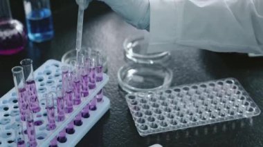 Beyaz önlüklü ve eldivenli isimsiz bir kadın araştırmacının pipetli test tüplerinden pembe kimyasal solüsyon alıp örnek tepsisine boşalttığı yakın çekim.