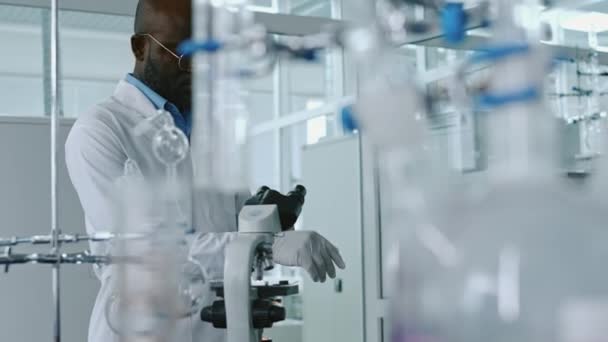 실험실 코트에서 아프리카계 미국인 과학자의 아래로 구부려 장갑을 현미경을보고 접안경에 — 비디오