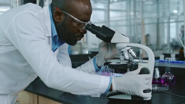 顕微鏡下の標本を調べる白い実験室のコートのアフリカ系アメリカ人の男性研究者の中型ショット 焦点を調整しながら アジアの女性の同僚はバックグラウンドで試薬と協力しています — ストック動画