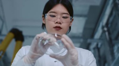 Düşük açılı çekimde Çinli kadın biyolog laboratuarda petri kabını tutuyor, substrat içinde yetişen yeşil lahanaları alıyor, cımbız kullanıyor ve dikkatlice inceliyor.