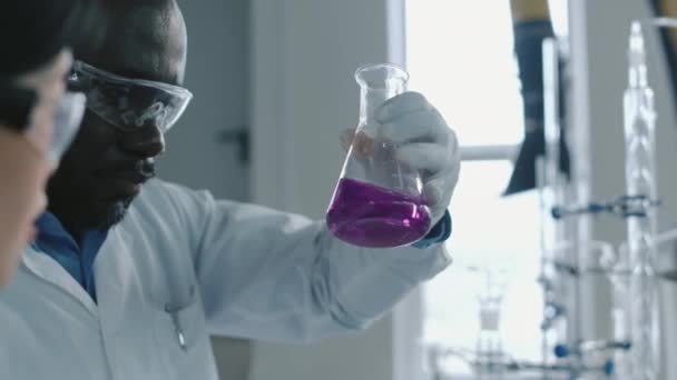 多様な男性と女性の研究者が一緒に化学実験室に立って 窓に対して紫色のマンガン溶液でバイアルを観察し 特性を議論する — ストック動画