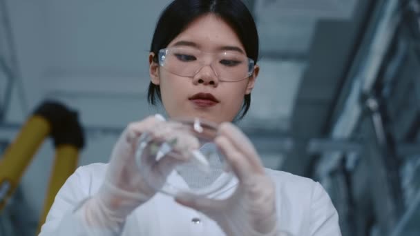 Plan Mise Point Rack Faible Angle Une Biologiste Chinoise Tenant Clip Vidéo