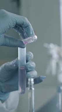Tanımlanamayan eldivenli laboratuar teknisyeninin ellerinin dikey görüntüsü tüpten sıvıya pembe kimyasal reaktör eklerken biyokimyasal sonda üzerinde tüp tanısal testler yapıyor.