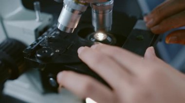 Kimliği belirsiz kadın biyokimyagerin ellerinin, laboratuvarda incelenmesi, düzeltilmesi ve düzeltilmesi için yeşil fidelerle mikroskop altına yerleştirilmesinin son derece yakın plan görüntüleri.