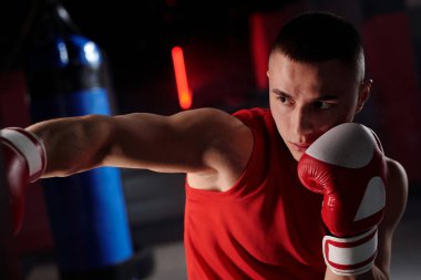 Spor giyim ve boks eldivenlerinde profesyonel boksör kum torbasına bakıyor ve temel tekniği çalışırken tekmeliyor.