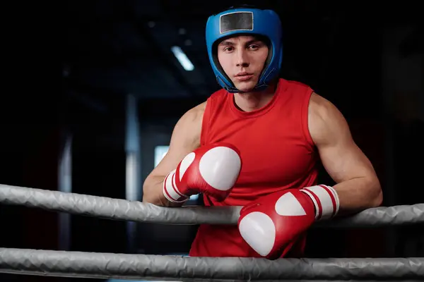 Hombre Musculoso Joven Chaleco Rojo Guantes Boxeo Escudo Protector Azul Imágenes De Stock Sin Royalties Gratis