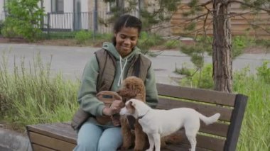 Parkta bankta oturan ve kameraya gülümseyen iki sevimli köpekle oturan neşeli Afrikalı Amerikalı genç kızın orta boy portresi.