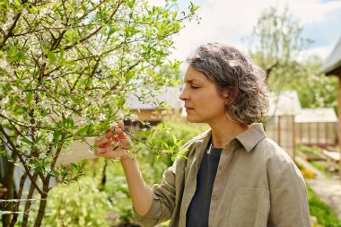 Bahçede çalışırken, elinde çiçek açan elma ağacının küçük dalını tutan, dalgalı gri saçlı olgun kadın bahçıvanın yan görüntüsü.