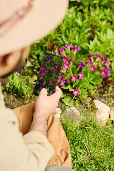 stock image Smartphone with purple primrose flowers on screen in hand of mature male farmer sitting in front of flowerbed and taking picture of them