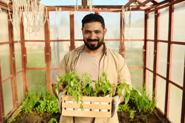 Başarılı bir çiftçi bej iş kıyafetleriyle kameraya bakarken serada içinde yeşil saksı tohumları olan bir kutu taşıyor.