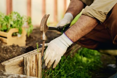 Tanımlanamayan erkek bahçıvanın eldivenli elleri çekiçle metalik çiviye vururken seradaki çiçekli kenarı onarıyor.