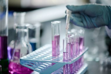 Elinde pipeti olan eldivenli bir laboratuar çalışanı bilimsel deney sırasında mor maddeyle şeffaf sıvıyı şişeye atıyor.