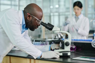 Laboratuvar önlüklü genç, kel Afrikalı Amerikalı erkek araştırmacının mikroskop altında yeni bakteri ve bakterileri incelerken görüntüsü