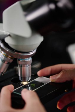 Genç araştırmacı ya da kimyagerin elleri mikroskop merceğinin altına biyoteknoloji örneği koyuyor.