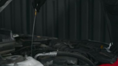 Gri tulumlu iki Kafkas ve Hintli erkek teknisyenin araba motorundan dipstick çıkarırken, yağ seviyesini tartışırken, atölyedeki arıza sebebini ararken orta boy yakın çekim görüntüleri.