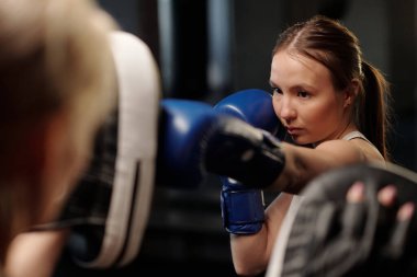 Mavi boks eldivenli genç ciddi sporcu antrenör tarafından tutulan yumruk rampasını tekmeliyor idman müsabakasına hazırlanırken