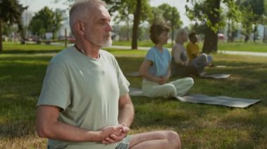 Beyaz saçlı ve sakallı yaşlı beyaz bir adamın parkta bacak bacak bacak üstüne atmış bir şekilde oturduğu ve yaz günü grup meditasyonu sırasında dışarıda nefes alma egzersizleri yaptığı bir fotoğraf.