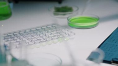 Eldivenli, yeşil kimyasal çözeltiyi test tepsisine pipetle döken ve laboratuvar deneylerini yaparken rapor formuna yazan tanınmamış kadın araştırmacının el fotoğrafı.