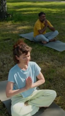 Değişik yaşlı kadın ve erkeklerin el ele meditasyon yaparak namaste için bir araya geldikleri, sıcak yaz günü parkta açık hava antrenmanı sırasında çimenlikte egzersiz minderlerinde oturdukları dikey yüksek açı görüntüsü.