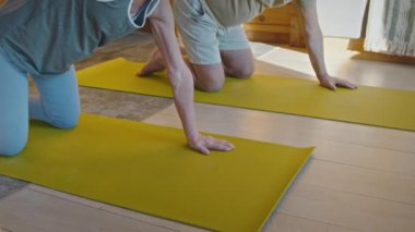 Orta kıvrımlı çekimde, yaşlı beyaz erkek ve kadın elleri ve dizleri üzerinde minderlerin üzerinde duruyor, omurga bükme egzersizi yaparak, paylaşılan etkinlik sırasında eklem hareketliliğini artırmak için kollarını kaldırıyorlar.