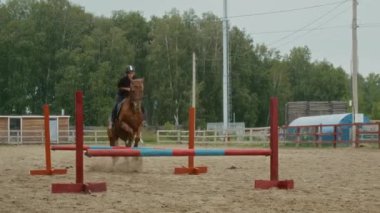 Güvenlik kaskı takmış genç bir kadın binicinin Bay Horse 'un sırtında oturması ve antrenman engelli atlayışları yarışmaya hazırlanması.