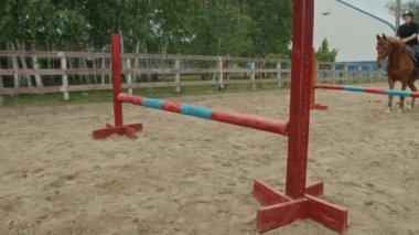 Kendini adamış genç kadın binici engelli atlama eğitiminde at sırtında oturuyor. Koyun atıyla birlikte birkaç tahta engelli kumlu alanda.