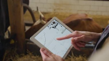 Dokunmatik ekranlı tablet bilgisayarı tutan, ahırdaki çiftlik hayvanlarını incelerken inek sağlığı listesini dolduran tanınmayan bir kadın çiftçinin omuz üstü çekimleri.