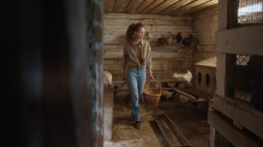Kotlu güzel beyaz kadın çiftçinin ahşap tavuk kümesinin etrafında dolanıp kümesteki taze organik yumurtaları topladığı geniş, yavaş bir çekim.
