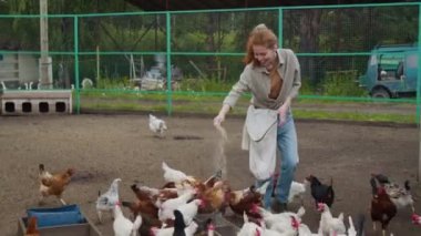 Full shot of joyous young Caucasian woman in jeans and shit walking around chicken yard, throwing poultry feed into mangers for greedy hens, smiling while enjoying working at farm