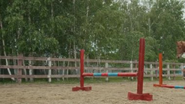 Güzel kestane rengi atın üzerinde oturan ve açık hava antrenman sahasında engelli atlama antrenmanı yapan bir kadın jokey.