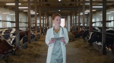 Beyaz önlüklü, neşeli kadın veteriner doktorunun aile çiftliğindeki çiftlik evinde yürüdüğü, ağıllarda duran süt ineklerini denetlediği, dijital tablet üzerine notlar aldığı orta boy bir fotoğraf.