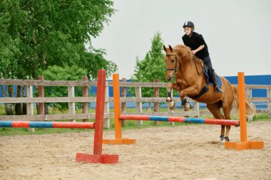Binici at, arka planda yemyeşil ağaçlar ve kumlu zeminde binicilik becerileri sergileyen açık hava binicilik sahasında boyalı engellerin üzerinden geçiyor.