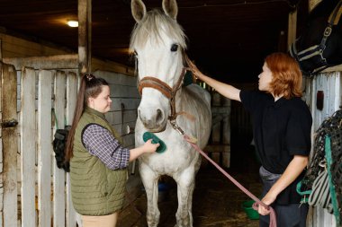 Beyaz atı ahırda fırçalayan iki kişi, biri dizginlerini tutarken diğeri de paltosunu giyip, sakin bir ortamda kibarlık ve dikkat gösteriyor.