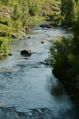 Yeşil ağaçlar ve dağda yetişen diğer bitki örtüsüyle doğal ortamda akan yüksek ve geniş bir nehir açısı.
