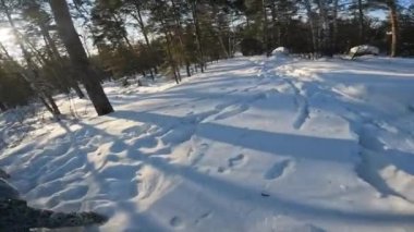 Kış parkında arkadaşlarla oynarken, birbirlerine kar fırlatırken ve kış tatillerinin tadını çıkarırken.