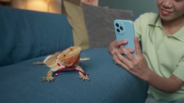 Sosyal medyada paylaşmak için kırmızı kolye takan sakallı kertenkelenin eğlenceli akıllı telefon fotoğraflarını çeken neşeli Asyalı kızın orta boy yakın çekimi.