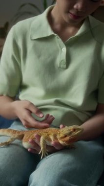 Orta boy, yeşil polo tişörtlü genç Asyalı bir kadının evdeki kanepede oturup dizinde ejderha kertenkelesi tutarken ve nazikçe sırtını sıvazlarken görüntüsü.