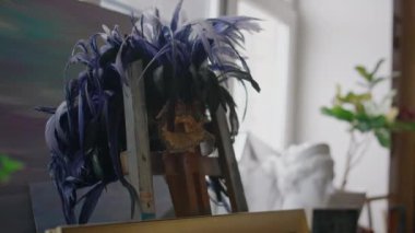 Yoğun bir sanat stüdyosunun sehpasının tepesinde, gün ışığında pencereye bakan mor tüylü, altın karnaval maskeli hiç kimse yok.