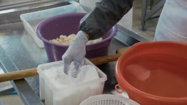 İtalyan usulü özel peynir yapmak için küvete tuz serpiştirilmiş lor serpiştirilmiş lastik eldiven ve kollar konusunda isimsiz bir fabrika uzmanının eli kapalı.