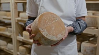 Olgunlaştırma odasında duran tanınmayan kadın fabrika teknolojistinin ellerinin orta kesiminde olgun, özel bir gurme peynirin başını bulaşık kabuğuyla tutarken.