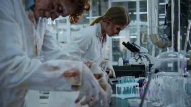 İki ürpertici erkek ve kadın zombi laboratuvar çalışanının kan lekeli beyaz önlüklü adamın laptopta çılgınca vuruşunu mikroskop altında sıkıştırmaya çalışan kadının orta boy fotoğrafı.