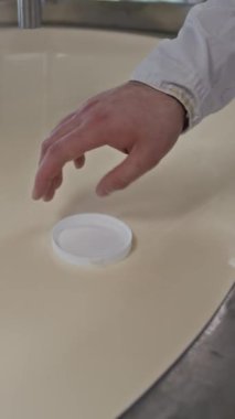 Rennet eklemeden önce kalınlığı test etmek için pıhtılaşmış sütün yüzeyine plastik kapak yerleştiren isimsiz erkek peynir üreticisinin dikey yakın çekimi.
